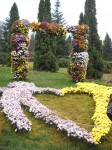 DSCN0118
